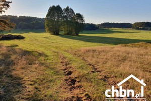 Działka na sprzedaż 3251m2 chojnicki Chojnice Owink - zdjęcie 4