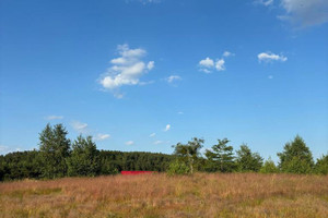 Działka na sprzedaż 2594m2 słupski Smołdzino Gardna Wielka - zdjęcie 1