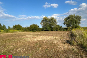 Działka na sprzedaż 1767m2 szamotulski Duszniki Duszniki - zdjęcie 3