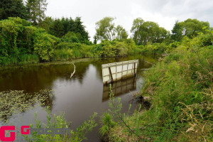 Działka na sprzedaż 3100m2 obornicki Rogoźno Nienawiszcz - zdjęcie 3