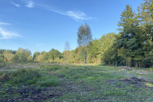 Działka na sprzedaż 19400m2 grodziski Grodzisk Mazowiecki Adamów - zdjęcie 2