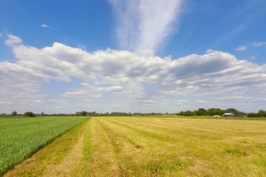 Działka na sprzedaż piaseczyński Konstancin-Jeziorna Łęg - zdjęcie 2