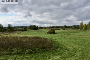 Działka na sprzedaż 41910m2 szczycieński Pasym Jez. Kalwa - zdjęcie 1