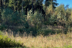 Działka na sprzedaż 27600m2 wejherowski Szemud Koleczkowo Kamieńska - zdjęcie 3