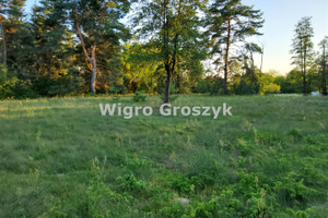 Działka na sprzedaż 4300m2 węgrowski Łochów Pogorzelec - zdjęcie 3