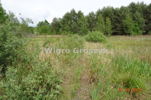 Działka na sprzedaż 19100m2 piaseczyński Góra Kalwaria Ługówka - zdjęcie 2