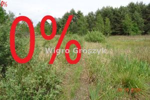 Działka na sprzedaż 19100m2 piaseczyński Góra Kalwaria Ługówka - zdjęcie 1