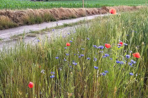 Działka na sprzedaż 4500m2 szamotulski Duszniki KUNOWO - zdjęcie 3