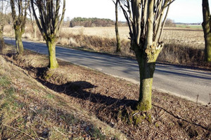 Działka na sprzedaż 3846m2 szamotulski Ostroróg - zdjęcie 2