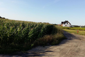 Działka na sprzedaż 3830m2 szamotulski Duszniki Grzebienisko Jodłowa - zdjęcie 2