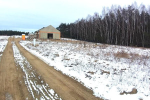 Działka na sprzedaż 775m2 szamotulski Ostroróg Wielonek - zdjęcie 3