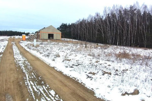 Działka na sprzedaż 775m2 szamotulski Ostroróg Wielonek - zdjęcie 3