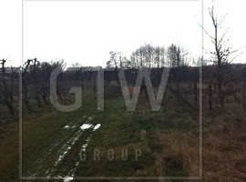 Działka na sprzedaż 1900m2 grójecki Grójec Kobylin - zdjęcie 3