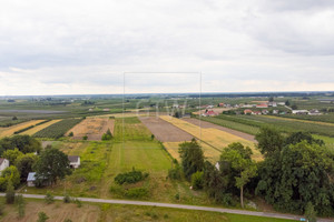 Działka na sprzedaż 2998m2 grójecki Chynów Martynów - zdjęcie 2