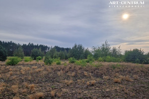 Działka na sprzedaż 3000m2 żniński Łabiszyn Władysławowo - zdjęcie 3