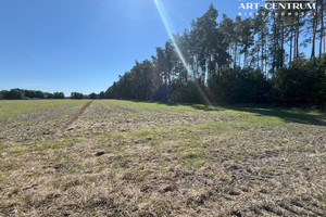 Działka na sprzedaż 1030m2 toruński Zławieś Wielka Zarośle Cienkie - zdjęcie 2