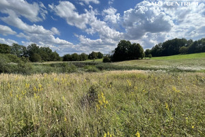 Działka na sprzedaż 3002m2 drawski Czaplinek Żerdno - zdjęcie 3