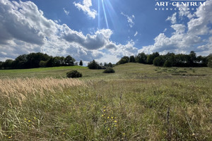 Działka na sprzedaż 3002m2 drawski Czaplinek Żerdno - zdjęcie 1