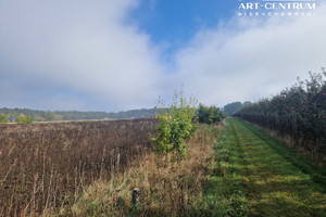 Działka na sprzedaż 880m2 bydgoski Sicienko Mochle - zdjęcie 1