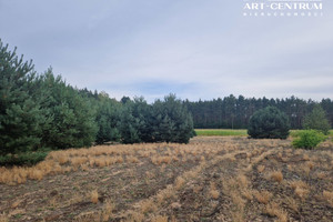 Działka na sprzedaż 3000m2 żniński Łabiszyn Władysławowo - zdjęcie 1