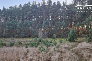 Działka na sprzedaż 2044m2 bydgoski Białe Błota Prądki - zdjęcie 1