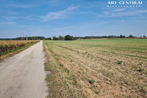 Działka na sprzedaż 1210m2 toruński Zławieś Wielka Toporzysko - zdjęcie 2