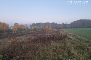 Działka na sprzedaż 1000m2 bydgoski Osielsko Jarużyn - zdjęcie 2