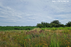 Działka na sprzedaż 890m2 sępoleński Więcbork - zdjęcie 3