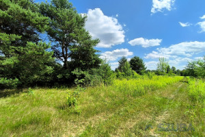 Działka na sprzedaż 1000m2 warszawski zachodni Stare Babice Wojcieszyn Trakt Królewski - zdjęcie 3