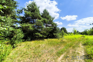 Działka na sprzedaż 1000m2 warszawski zachodni Stare Babice Wojcieszyn Trakt Królewski - zdjęcie 3