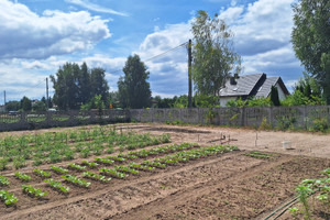 Działka na sprzedaż bełchatowski Bełchatów Adamów - zdjęcie 2