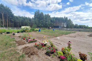 Działka na sprzedaż bełchatowski Bełchatów Adamów - zdjęcie 1