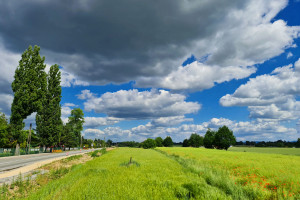 Działka na sprzedaż 8270m2 pszczyński Pszczyna - zdjęcie 1