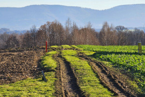 Działka na sprzedaż 2660m2 pszczyński Miedźna Góra - zdjęcie 1