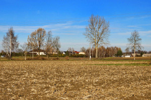 Działka na sprzedaż 2660m2 pszczyński Miedźna Góra - zdjęcie 3