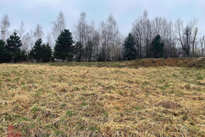 Działka na sprzedaż 1350m2 krakowski Skawina Wola Radziszowska - zdjęcie 3