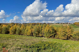 Działka na sprzedaż 1400m2 krakowski Michałowice - zdjęcie 1