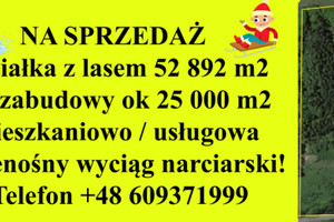 Działka na sprzedaż 52892m2 wałbrzyski Walim Rzeczka - zdjęcie 3