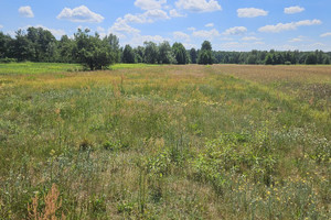 Działka na sprzedaż 11500m2 nowodworski Leoncin Teofile - zdjęcie 2