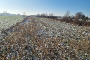 Działka na sprzedaż 11800m2 nowodworski Czosnów - zdjęcie 2