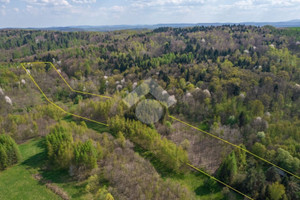 Działka na sprzedaż 26100m2 bocheński Bochnia Kiebłołazowskie - zdjęcie 2