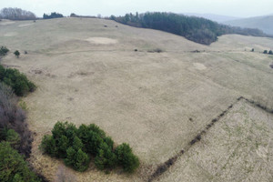 Działka na sprzedaż 6067m2 sanocki Komańcza Rzepedź - zdjęcie 2