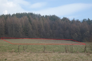 Działka na sprzedaż 5460m2 sanocki Komańcza Rzepedź - zdjęcie 1