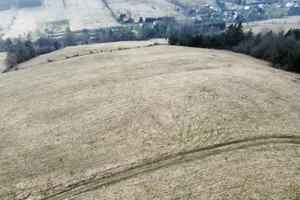 Działka na sprzedaż 6067m2 sanocki Komańcza Rzepedź - zdjęcie 3