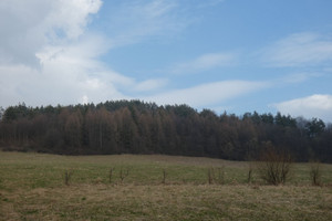 Działka na sprzedaż 5460m2 sanocki Komańcza Rzepedź - zdjęcie 2