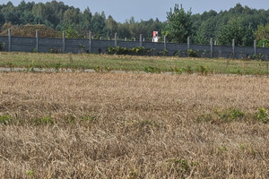 Działka na sprzedaż 1003m2 dąbrowski Dąbrowa Tarnowska Gruszów Mały - zdjęcie 2