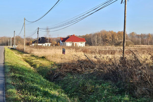 Działka na sprzedaż 1065m2 dąbrowski Radgoszcz - zdjęcie 4