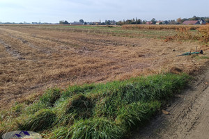 Działka na sprzedaż 10508m2 brzeski Szczurowa Strzelce Wielkie - zdjęcie 1