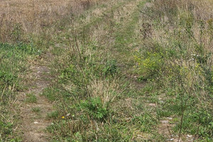 Działka na sprzedaż 1003m2 dąbrowski Dąbrowa Tarnowska Gruszów Mały - zdjęcie 4