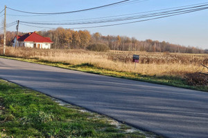 Działka na sprzedaż 1065m2 dąbrowski Radgoszcz - zdjęcie 3